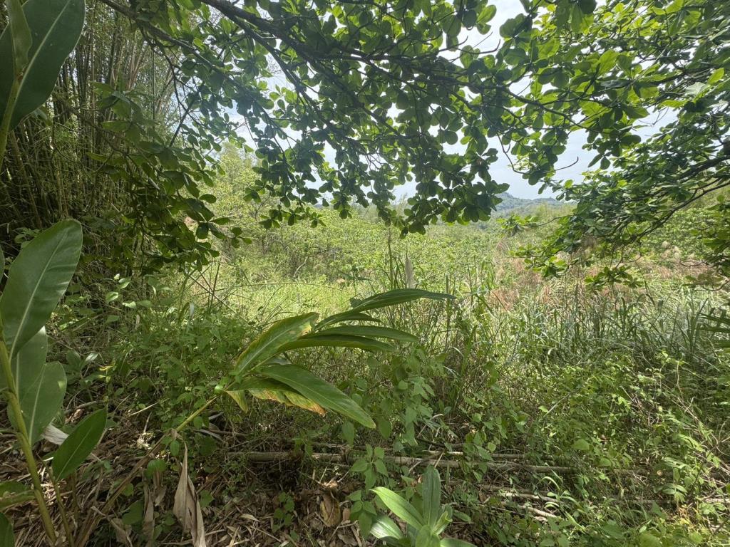 【向陽團隊】台南柳營國土保安用地