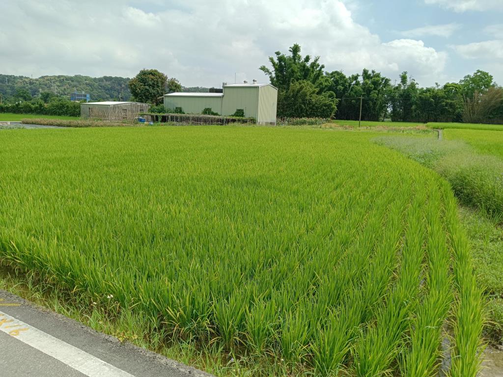 【向陽團隊】龍潭三坑老街都計內小農地
