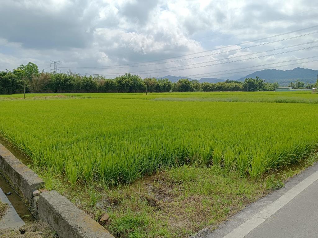 【向陽團隊】龍潭三坑老街都計內小農地