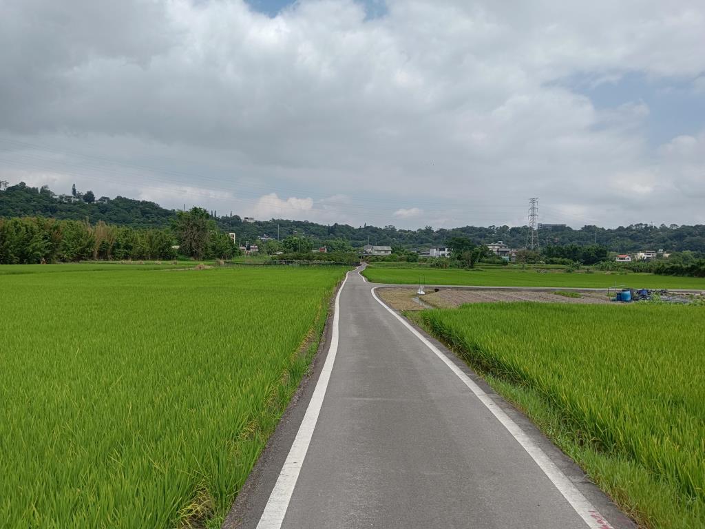 【向陽團隊】龍潭三坑老街都計內小農地
