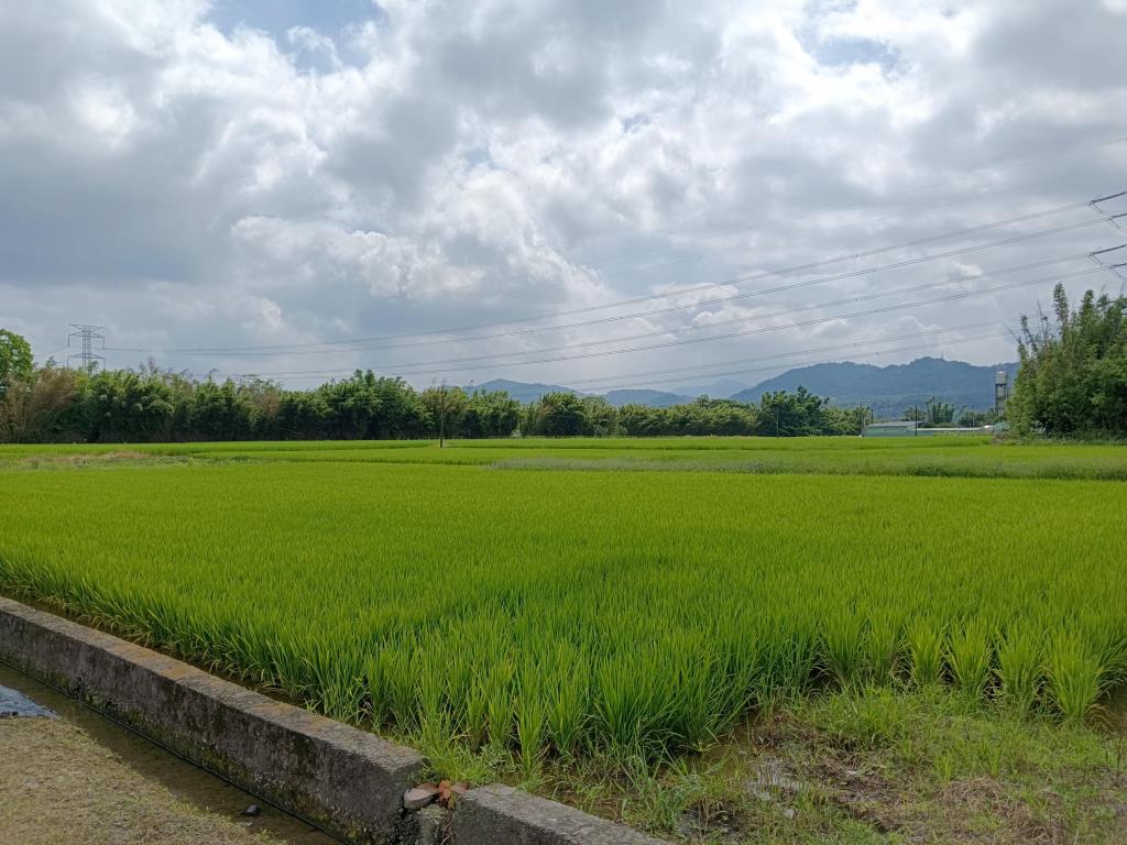 【向陽團隊】龍潭三坑老街都計內小農地