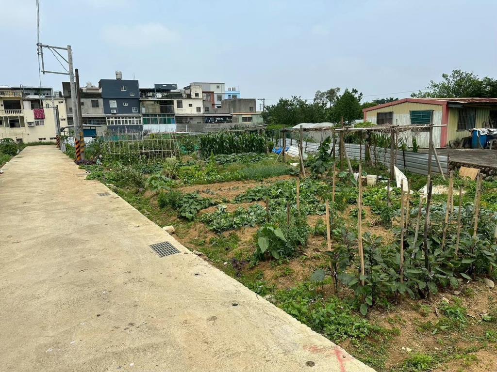 【向陽團隊】平鎮區平南國中都內農