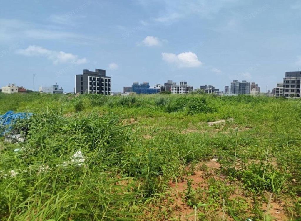 【向陽】觀音第三單元重劃區臨路方正建地