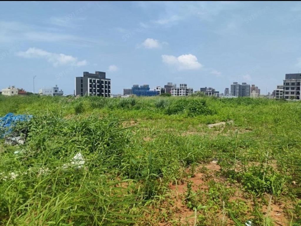【向陽】觀音第三單元重劃區臨路方正建地