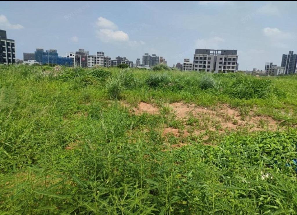 【向陽】觀音第三單元重劃區臨路方正建地
