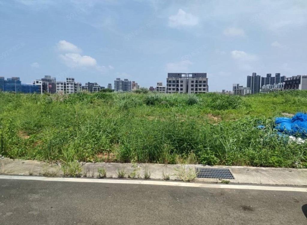 【向陽】觀音第三單元重劃區臨路方正建地