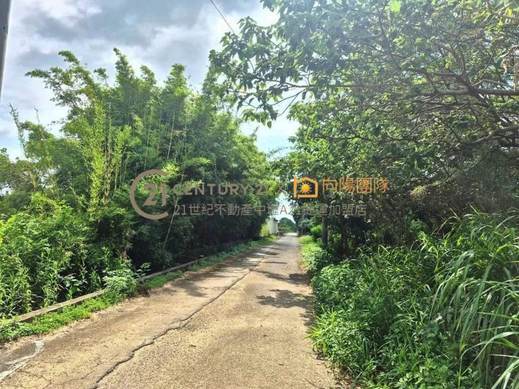 【向陽團隊】楊梅全新電梯透天景觀美別墅