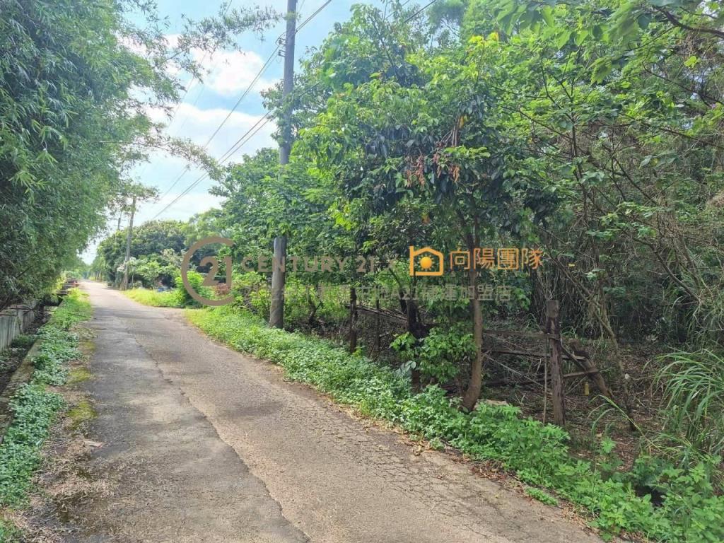 【向陽團隊】楊梅全新電梯透天景觀美別墅