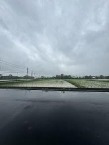 【向陽團隊】新屋大坡段大坡小段美農地