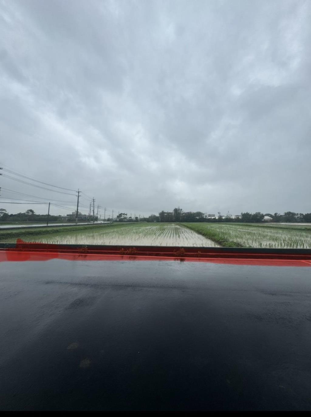 【向陽團隊】新屋大坡段大坡小段美農地