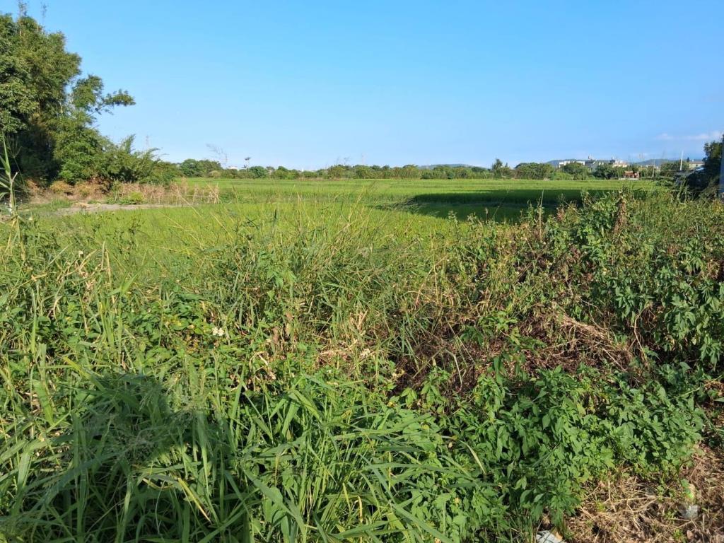 【向陽團隊】湖口中正路乙種工業用地