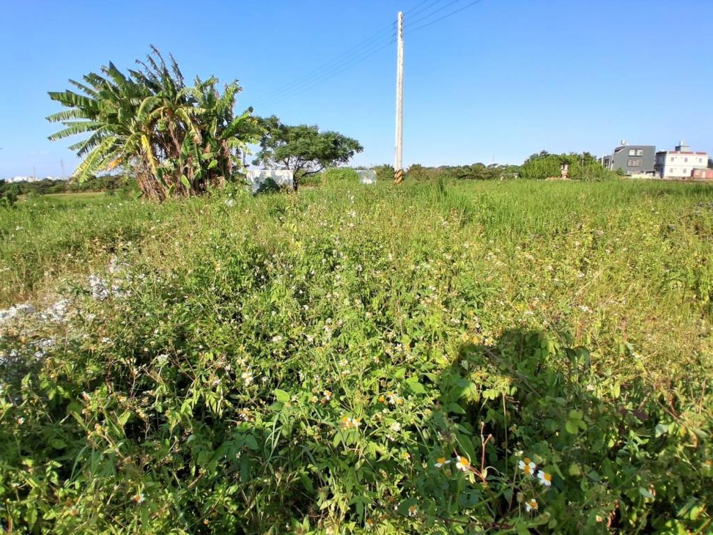 【向陽團隊】湖口中正路乙種工業用地