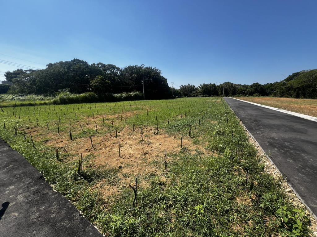 【向陽團隊】普忠路都計內農地正6米路