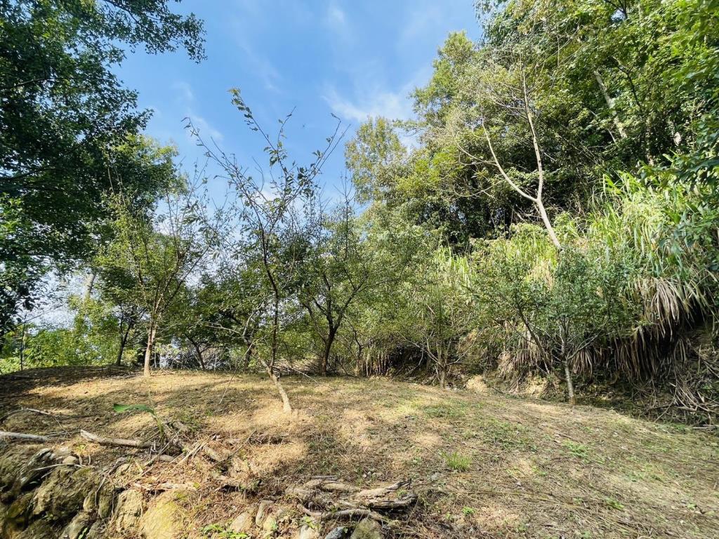 【向陽團隊】苗栗大湖丙建農舍+山坡地