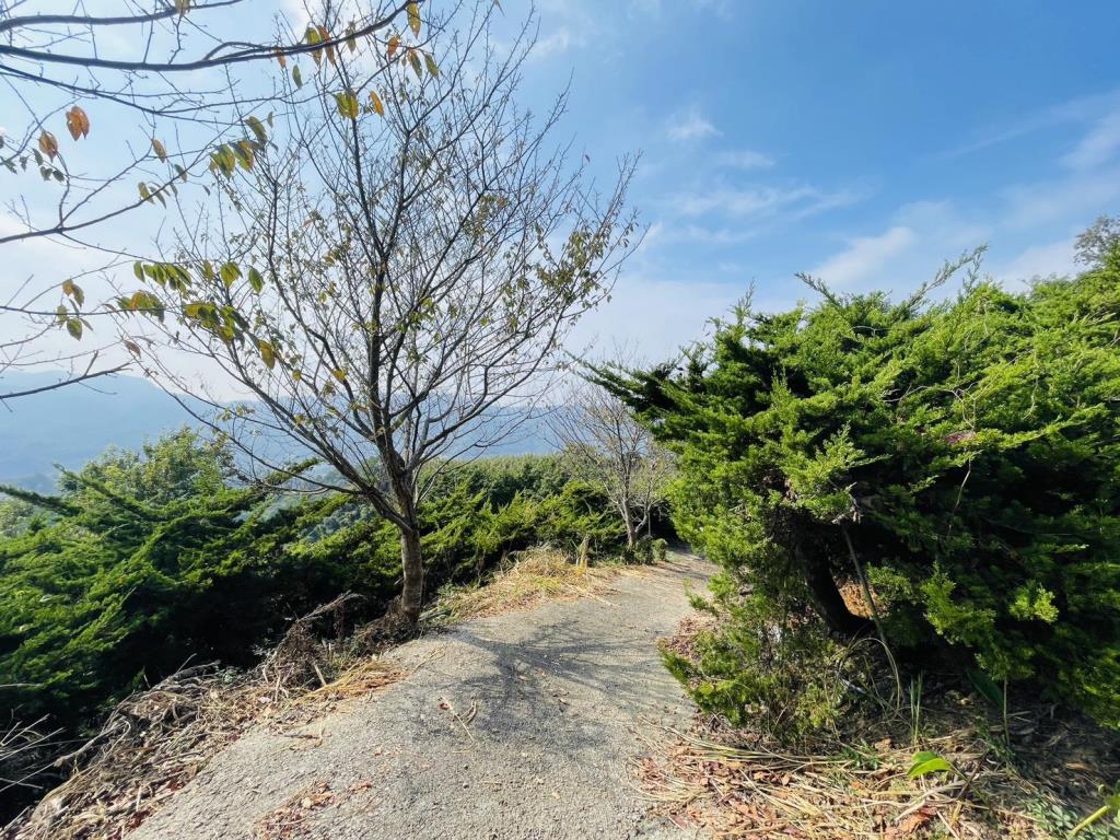 【向陽團隊】苗栗大湖丙建農舍+山坡地