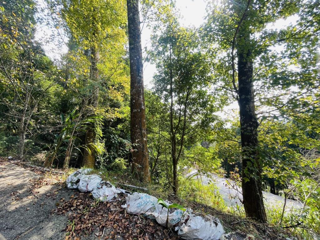 【向陽團隊】苗栗大湖丙建農舍+山坡地