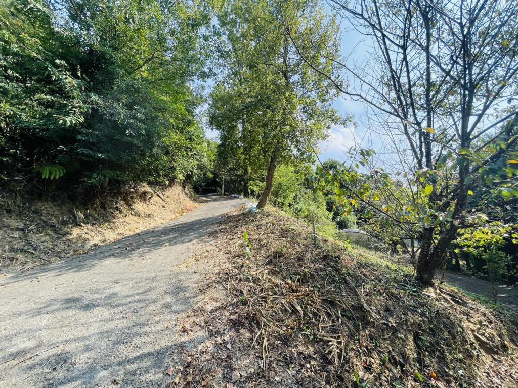【向陽團隊】苗栗大湖丙建農舍+山坡地