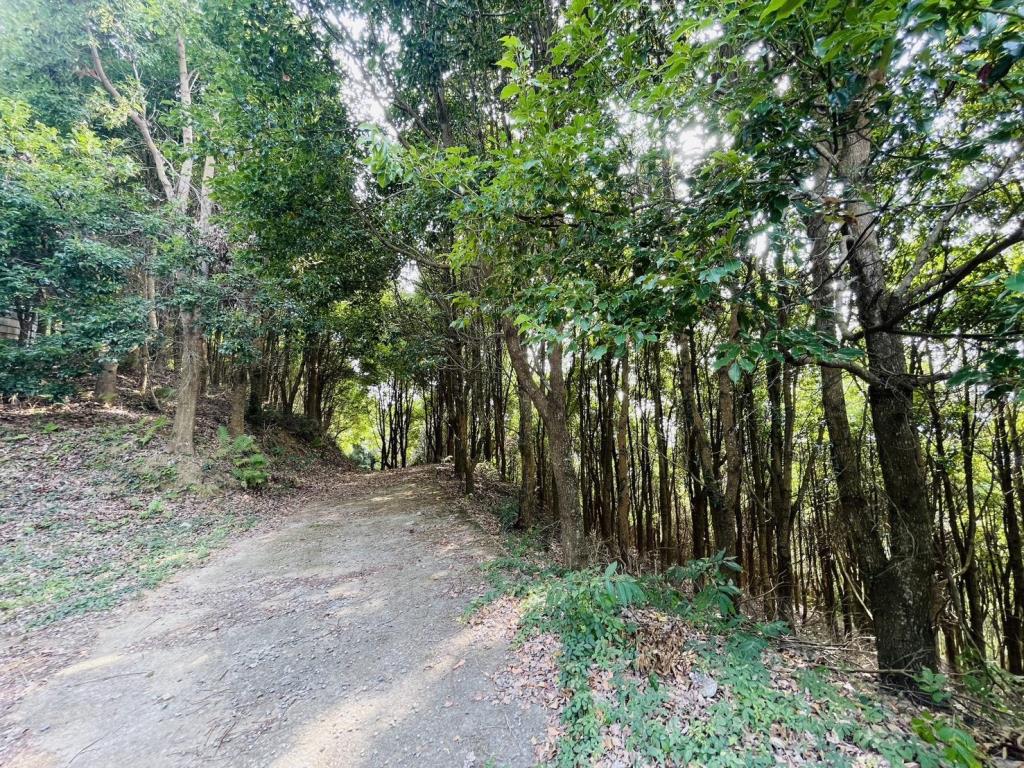【向陽團隊】苗栗大湖丙建農舍+山坡地