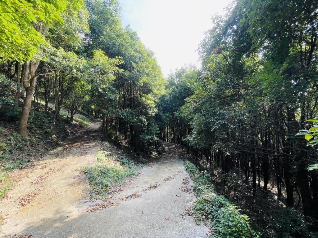 【向陽團隊】苗栗大湖丙建農舍+山坡地