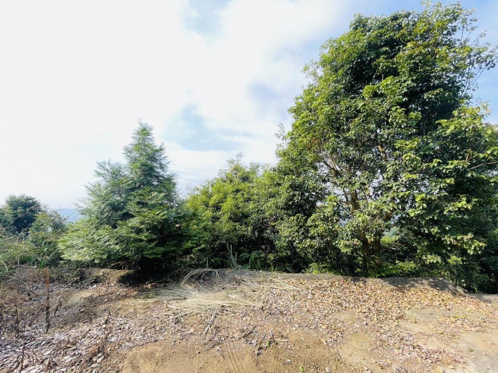 【向陽團隊】苗栗大湖丙建農舍+山坡地