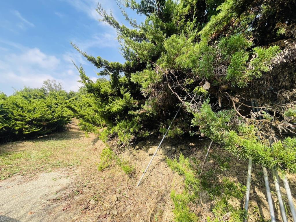 【向陽團隊】苗栗大湖丙建農舍+山坡地