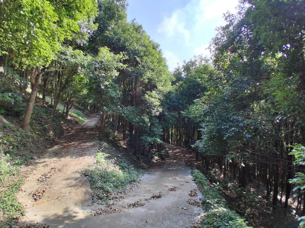 【向陽團隊】苗栗大湖丙建農舍+山坡地
