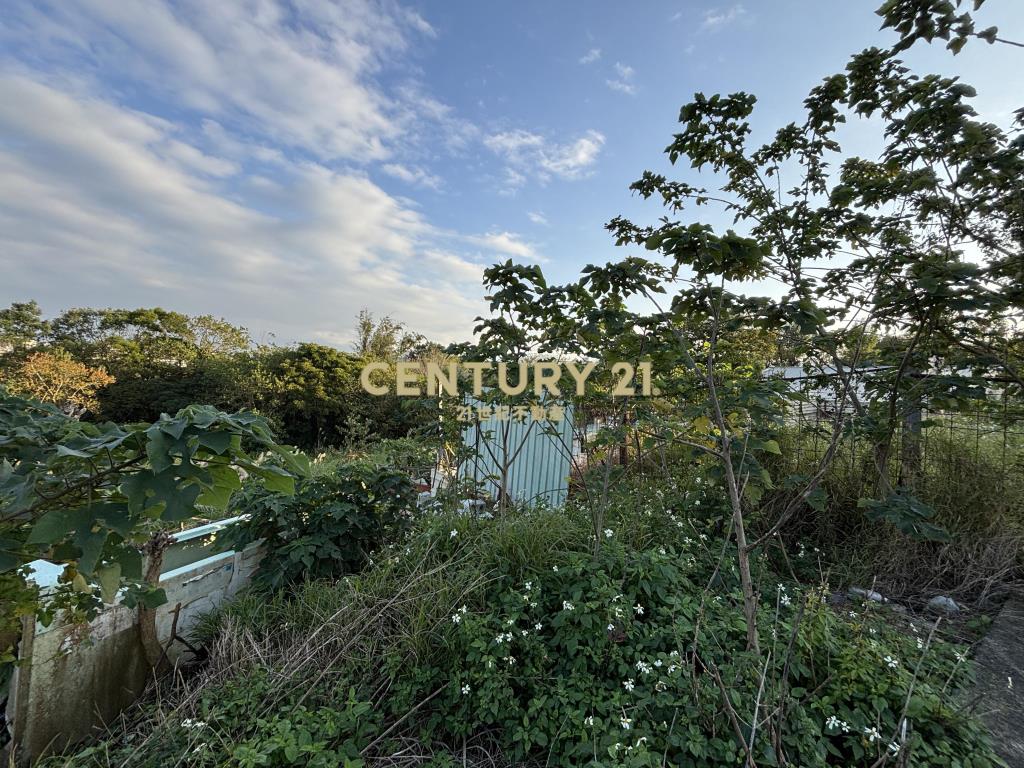 龍潭近龍潭大池都內農