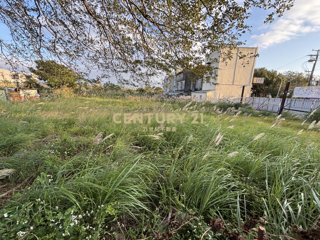 龍潭近龍潭大池都內農