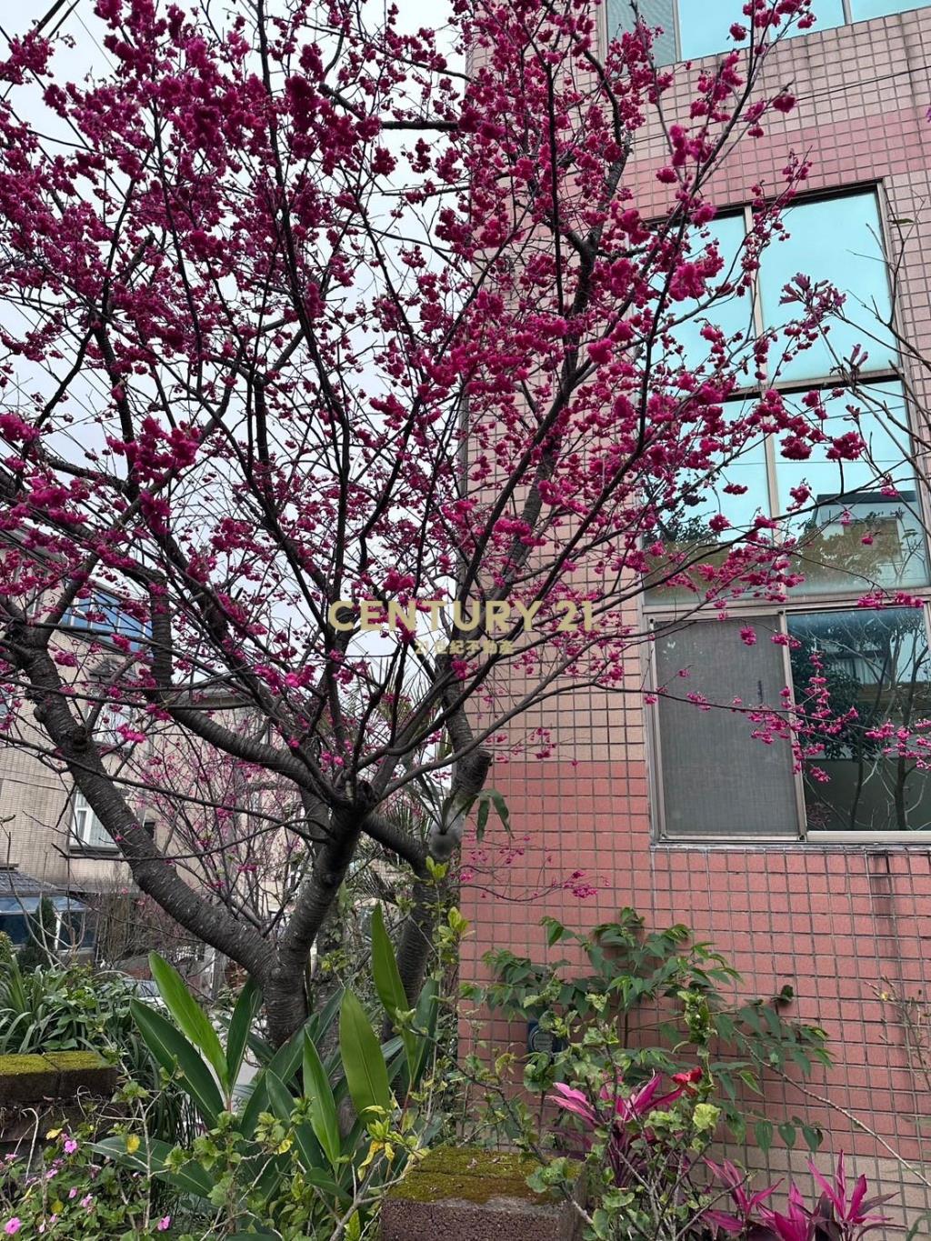 楊梅交流道獨棟別墅