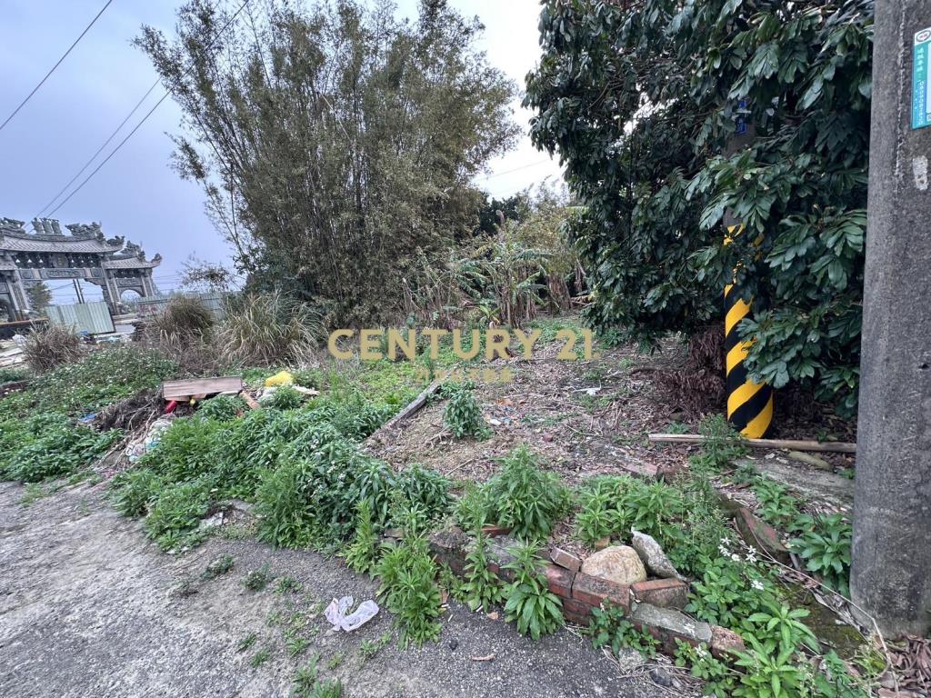 楊梅奉天宮旁方正甲建