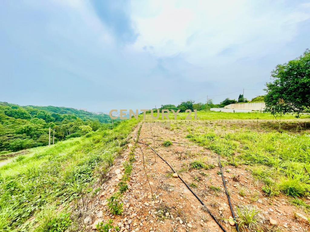 楊梅體育園區景觀農地B