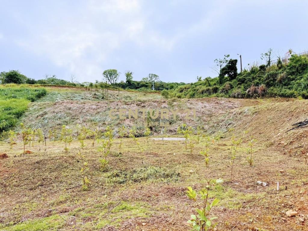 楊梅體育園區景觀農地B