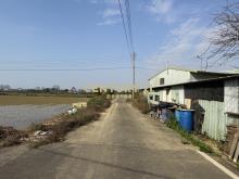 新豐雙面臨路農地