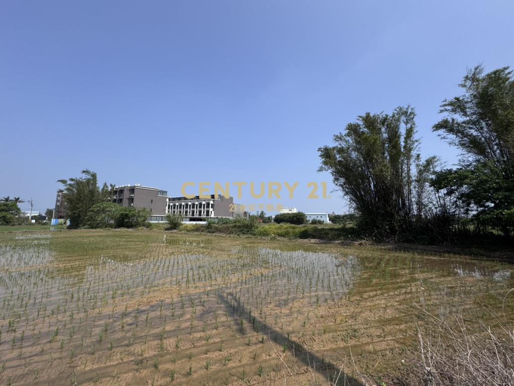 近新屋市區中華段都內農