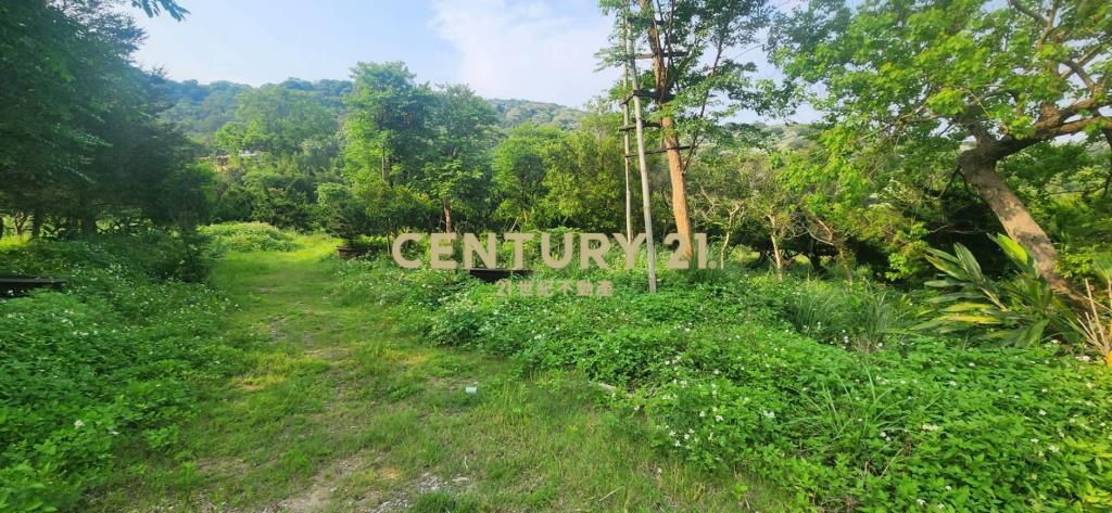 ㊣8米路-北窩路旁💖一般農786坪