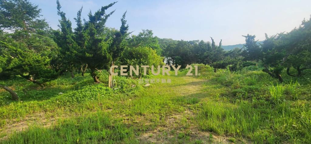 ㊣8米路-北窩路旁💖一般農786坪