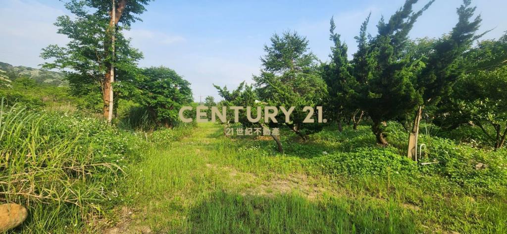 ㊣8米路-北窩路旁💖一般農786坪