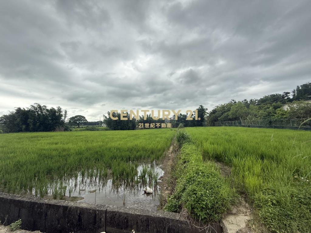 湖口新普科技周邊發財元寶農地