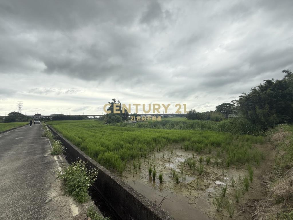 湖口新普科技周邊發財元寶農地