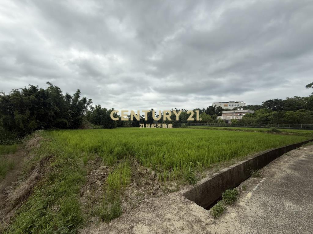 湖口新普科技周邊發財元寶農地