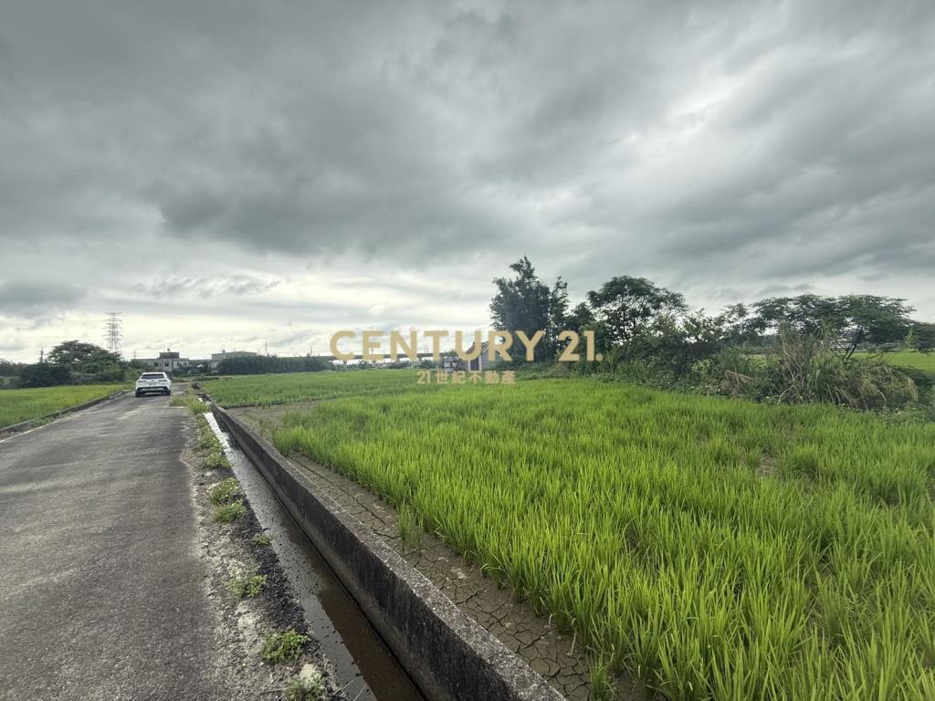 湖口新普科技周邊發財元寶農地