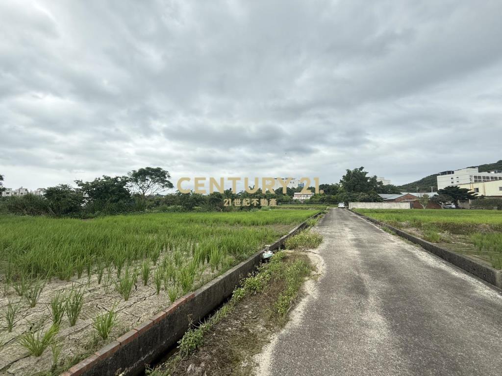 湖口新普科技周邊發財元寶農地