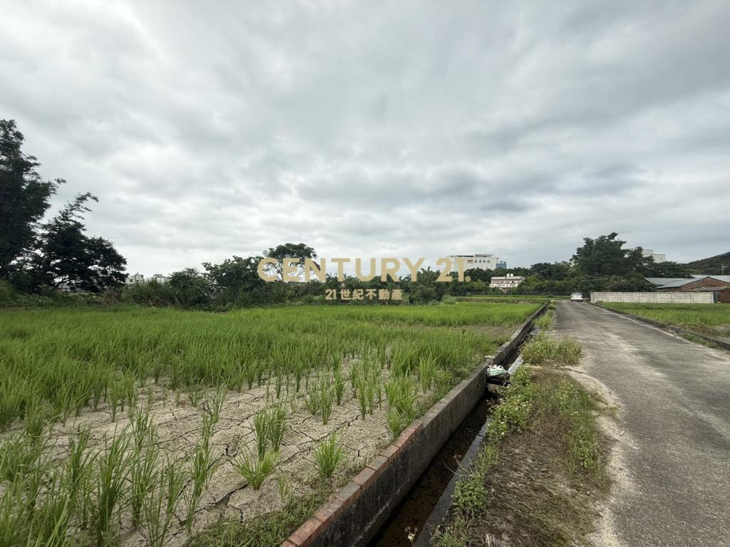 湖口新普科技周邊發財元寶農地