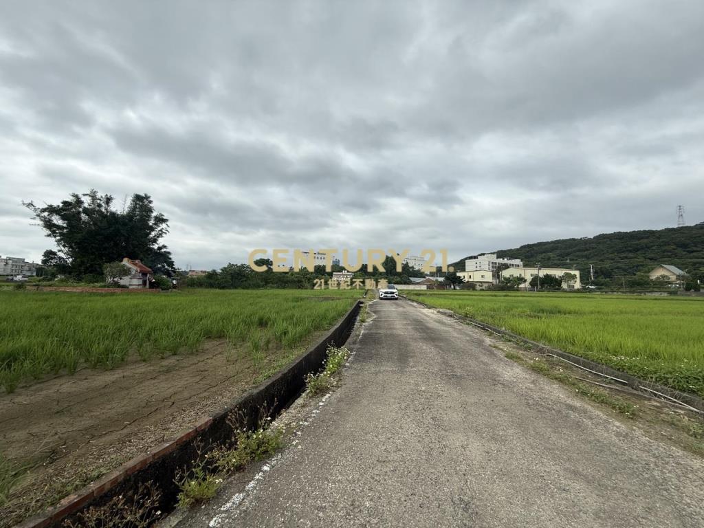 湖口新普科技周邊發財元寶農地