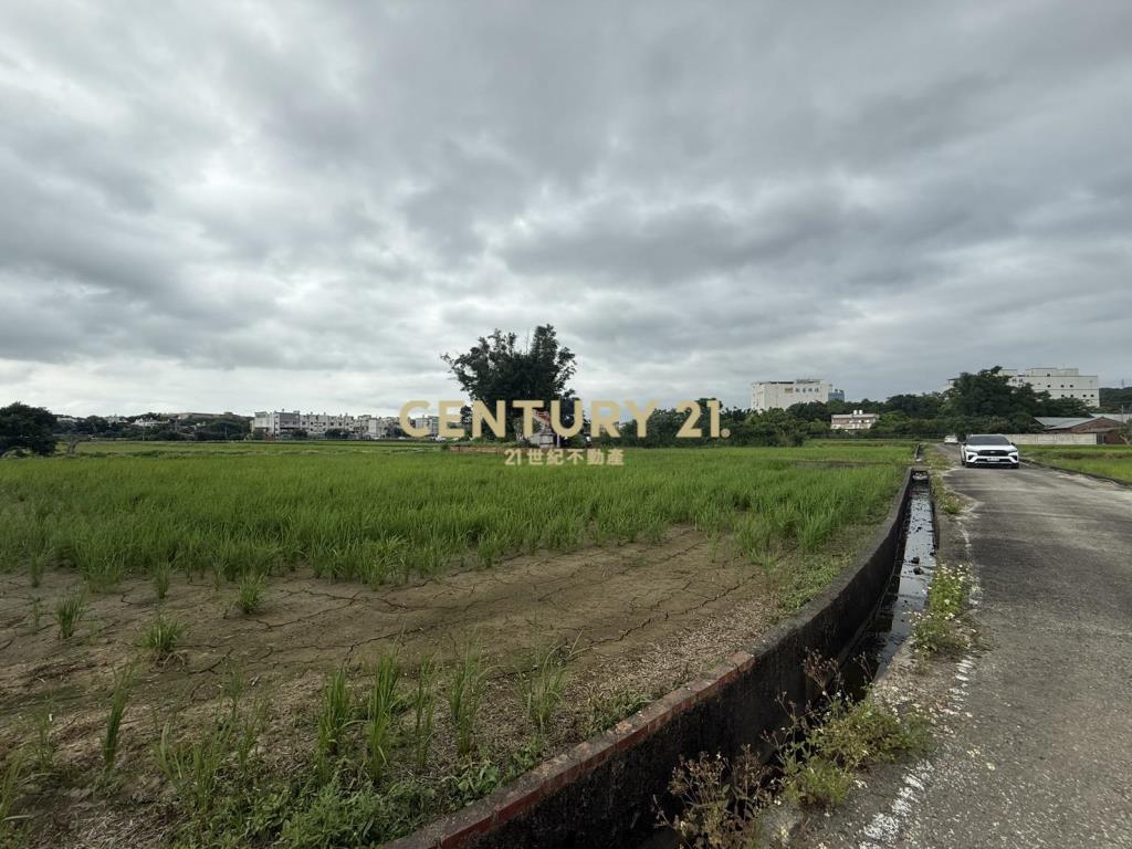 湖口新普科技周邊發財元寶農地
