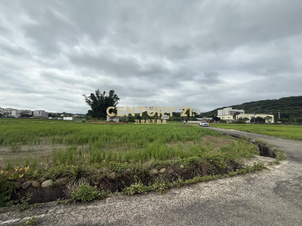 湖口新普科技周邊發財元寶農地