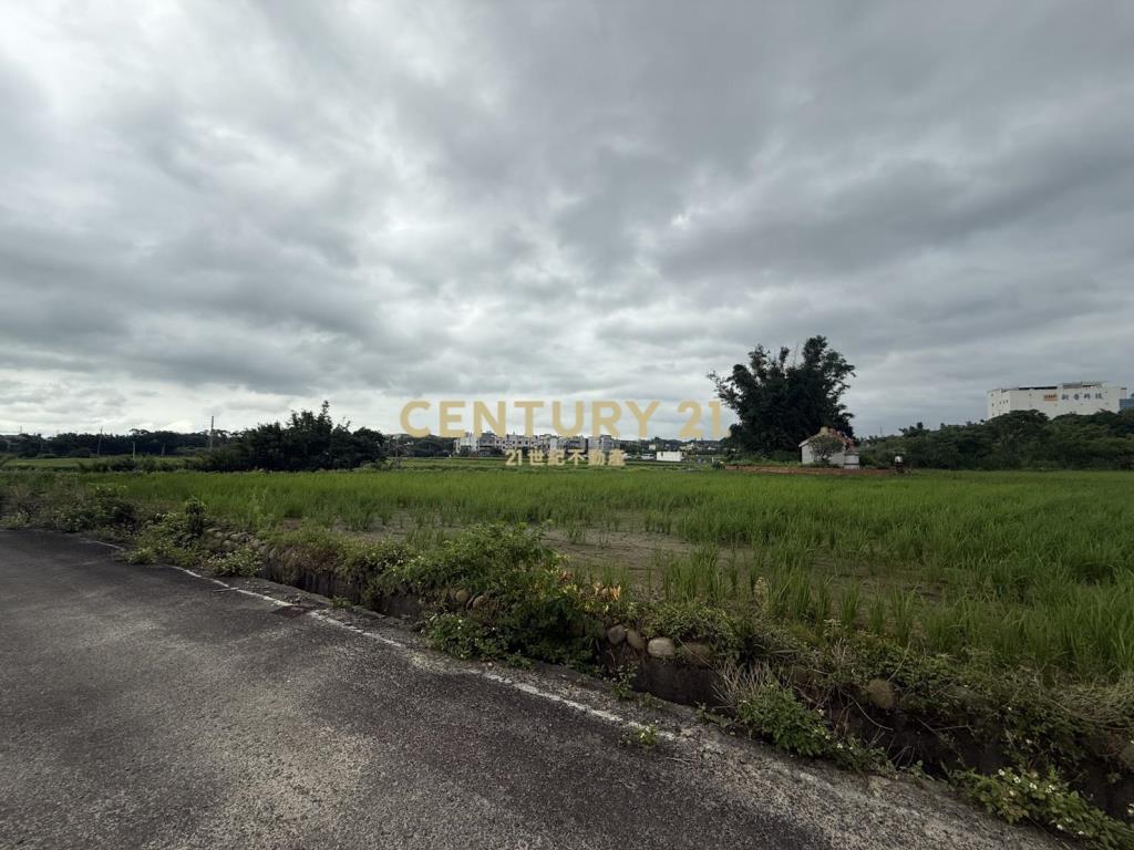 湖口新普科技周邊發財元寶農地