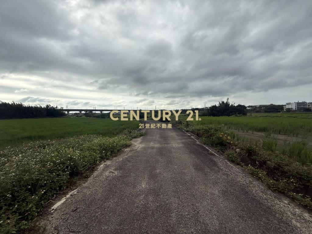 湖口新普科技周邊發財元寶農地