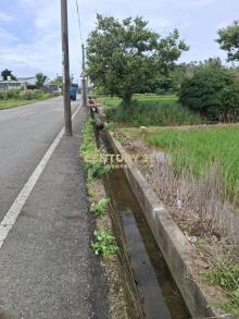 觀音正金橋路方正美農地