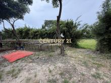 秀才路178巷都內農地